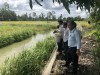 Ông Nguyễn Văn Mấy - Phó Giám đốc Sở Nông nghiệp và Phát triển nông thôn (bìa phải) tham quan mô hình nuôi cá rô trong ruộng lúa của HTX Dịch vụ nông nghiệp Phước Bình